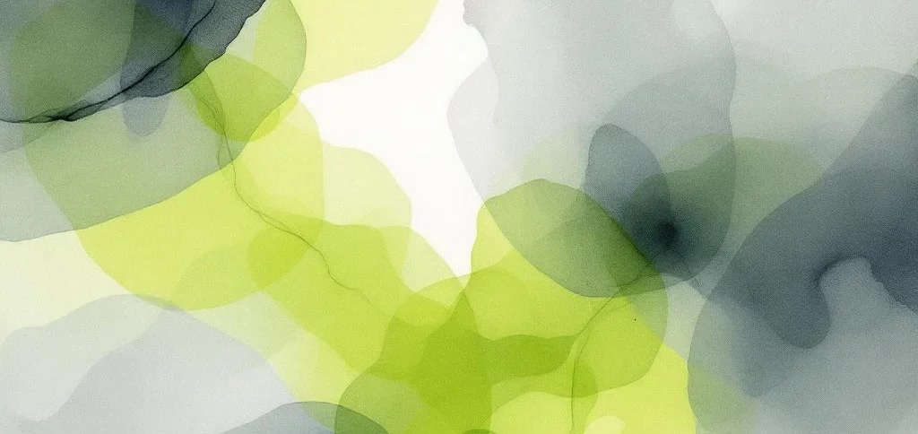 Hoe test je je webapplicatie voor DigiD beveiligingsassessment?