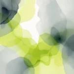 Hoe test je je webapplicatie voor DigiD beveiligingsassessment?