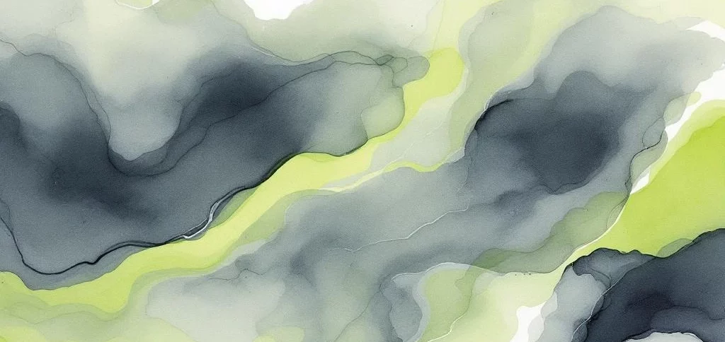 Welke kwetsbaarheden worden gezocht bij DigiD audit?