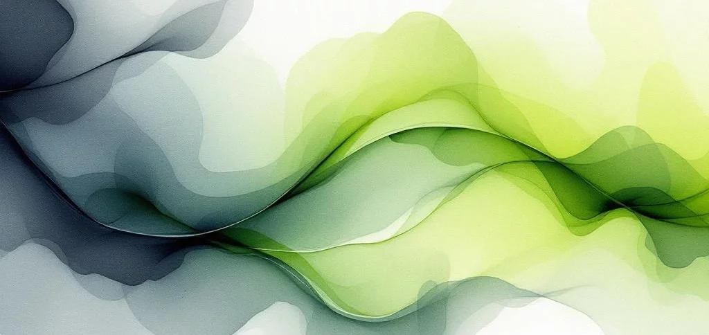 Hoe implementeer je zero-trust bij DigiD webapplicaties?