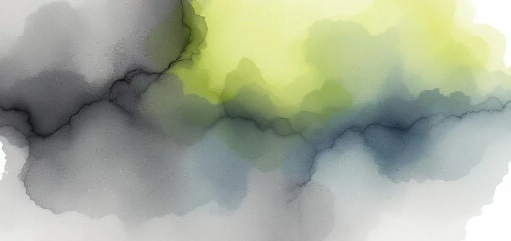 Wat zijn de eisen voor CDN-beveiliging bij DigiD?