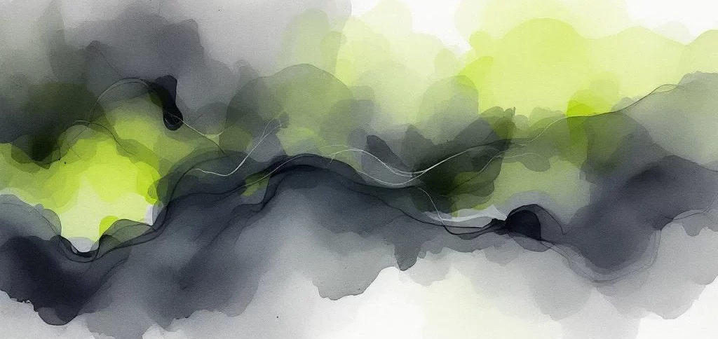 Wat zijn de encryptie-eisen voor DigiD beveiligingsassessment?