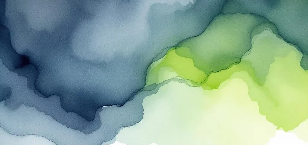 Wat kost een DigiD beveiligingsassessment?