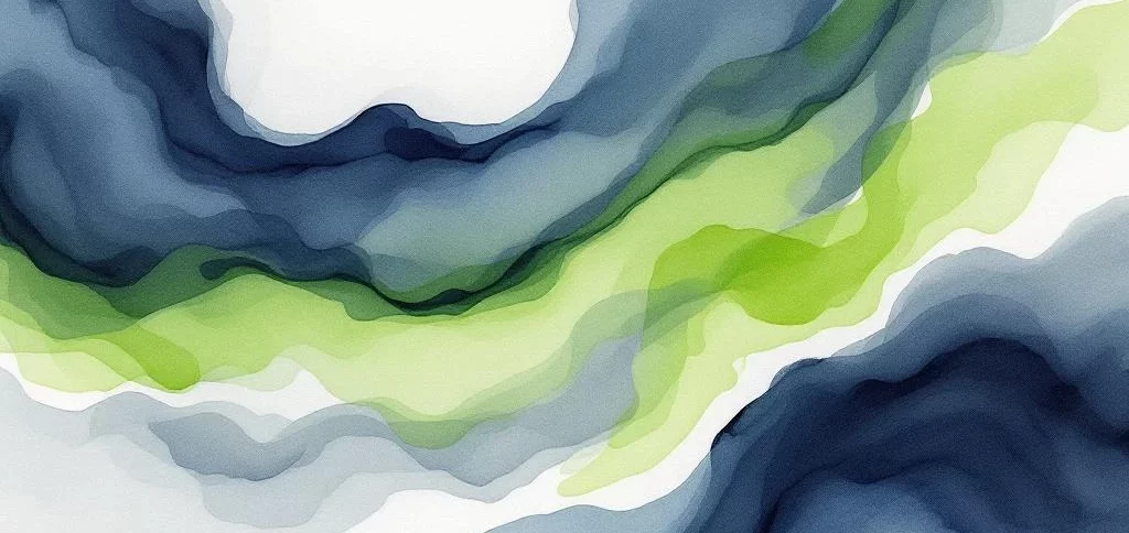 Welke beveiligingsgovernance is nodig voor DigiD?