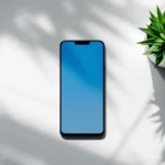 Welke privacy regels gelden voor RooO?